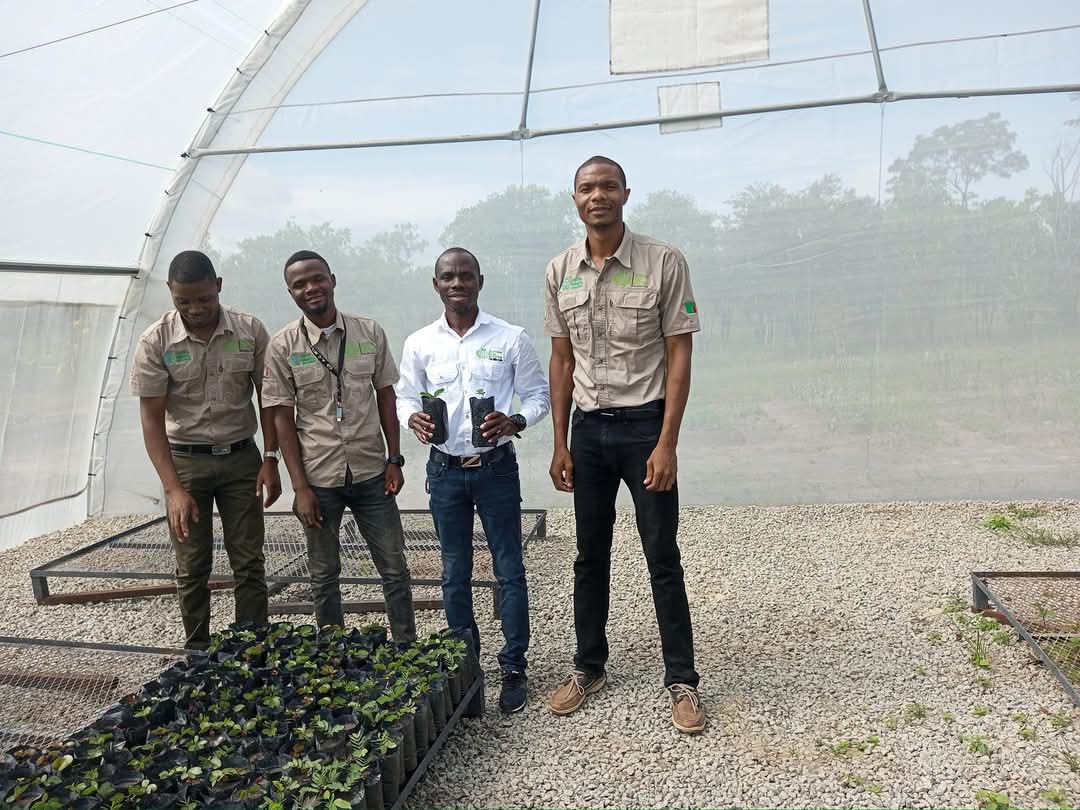 Community-Based Reafforestation with Indigenous Trees – actionfornature ...